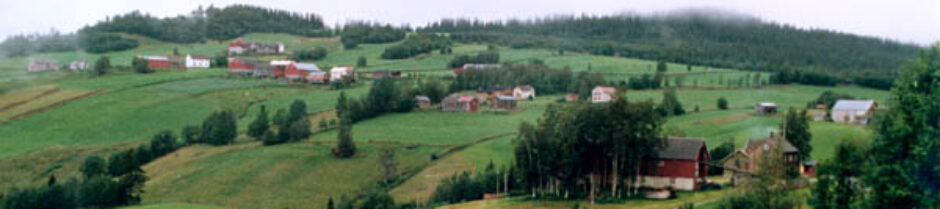 Busath Organization